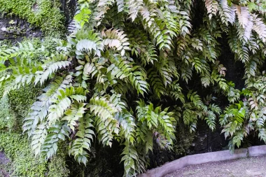 Square Vinet de Bordeaux (3).